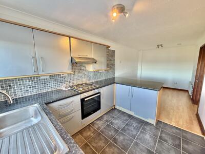 Picture 7